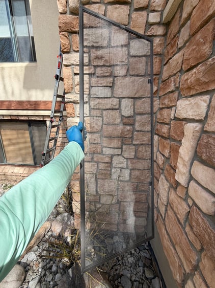 Screen cleaning Screen cleaning